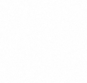 Black and white static noise pattern resembling television static or digital interference.